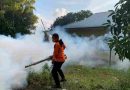 Kasus DBD di Tanjungpinang Melonjak, Warga Diminta Waspada dan Aktif Basmi Sarang Nyamuk