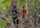 Tiga Warga Hilang di Hutan Natuna Saat Cari Gaharu, Tim SAR Terus Menyisir Medan Sulit