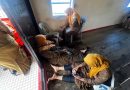 Diterjang Angin Kencang, Pompong Kelurahan Penyengat Tenggelam Usai Apel di Senggarang