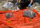 Warga Desa Batu Ampar Gempar, Penemuan Tulang Belulang Misterius di Pulau Noran
