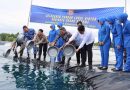 Kolaborasi TNI AL dan Pemkab Bintan Dorong Ketahanan Pangan Lewat Budidaya Udang