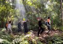 Bintan Trekking 2025 Kembali Hadir! Siap-Siap Berselimut Alam di Kaki Gunung Bintan
