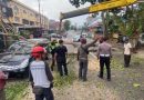 Diterjang Hujan dan Angin Kencang, Pohon Tumbang Timpa Mobil di Tanjungpinang