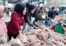 Pemkot Tanjungpinang akan Gelar Operasi Pasar Ayam Pedaging Selama Empat Hari