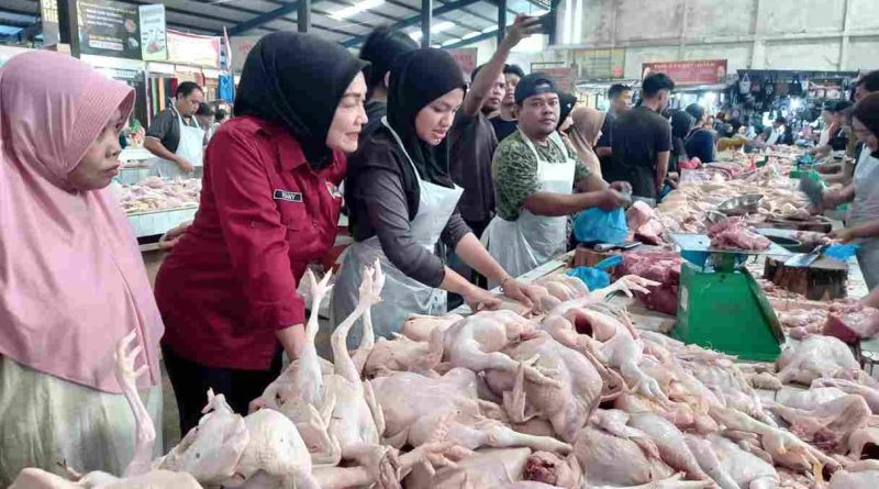 Pemkot Tanjungpinang akan Gelar Operasi Pasar Ayam Pedaging Selama Empat Hari